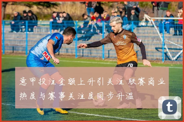 意甲投注金额上升引关注 联赛商业热度与赛事关注度同步升温
